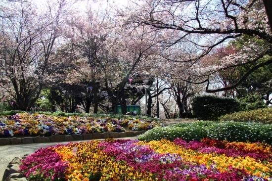 Asukayama Park