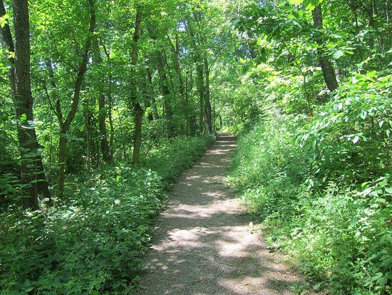 WVU Core Arboretum