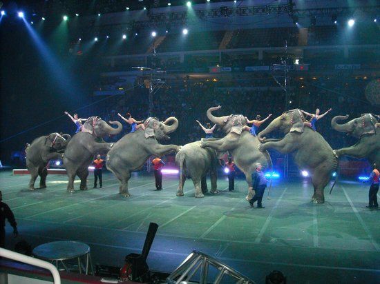 Giant Center