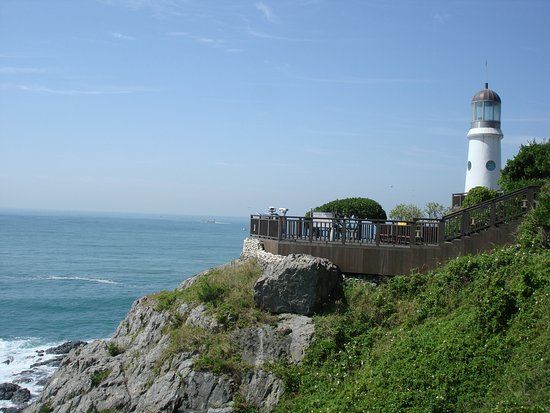 Dongbaek Island