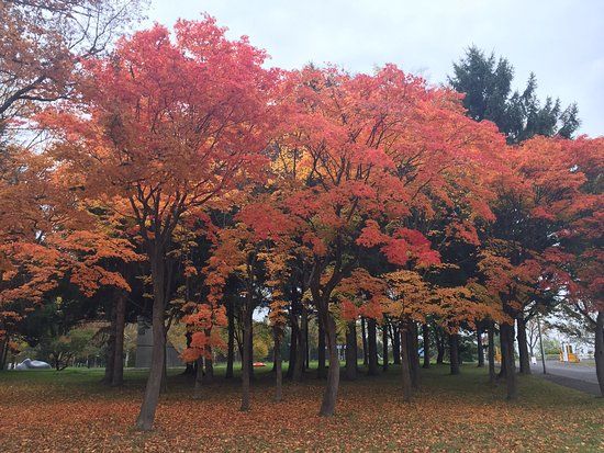 Makomanai Park