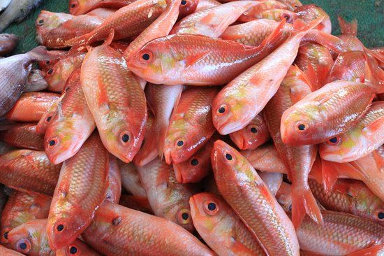 Fish Market