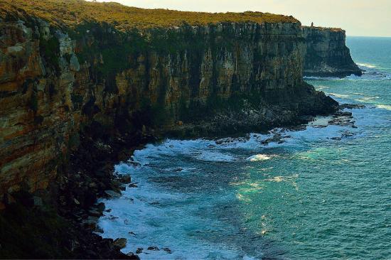 North Head