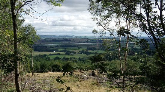 7stanes