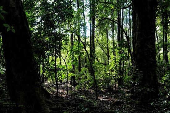 Smiths Bush Reserve