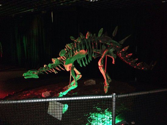 Dinosaur Quest