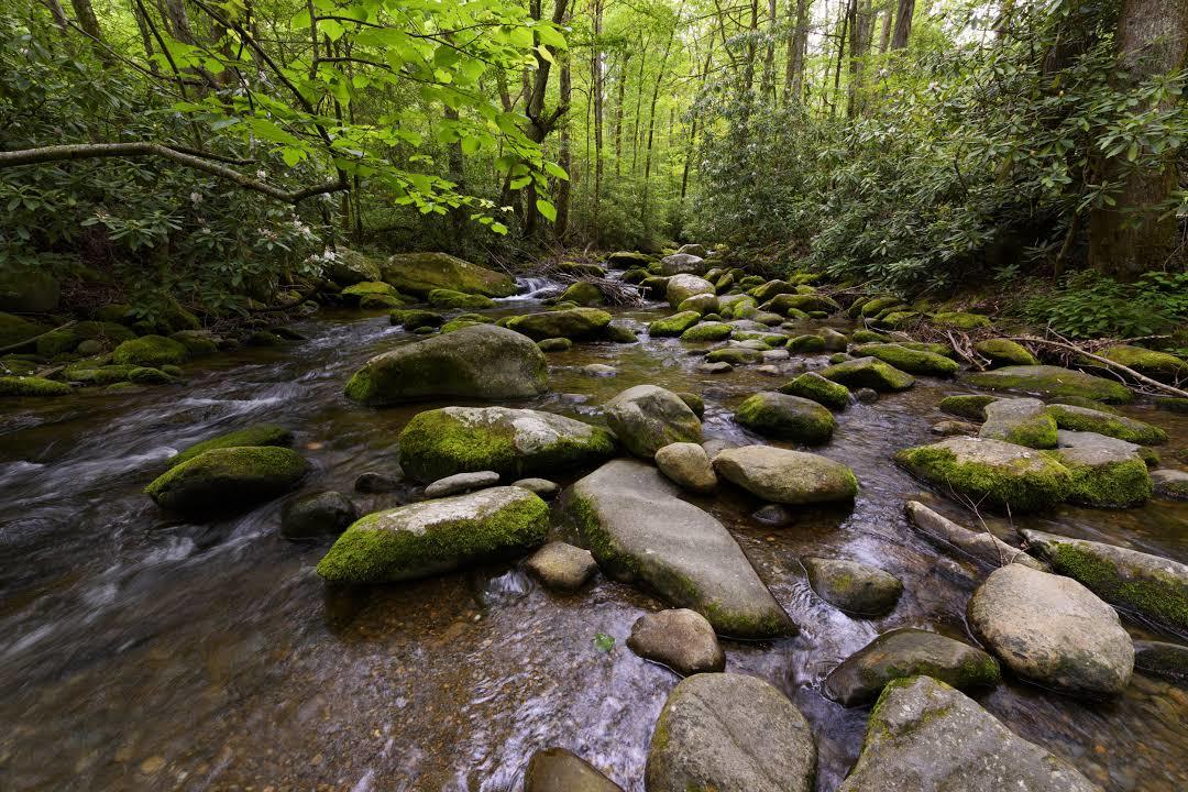 Roaring Fork