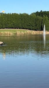 Lake Belvedere