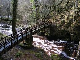 Ness Country Park