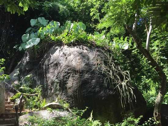 Acapulco Botanical Garden