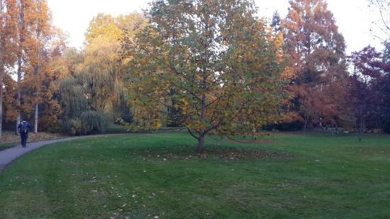 Hohenheimer Garden