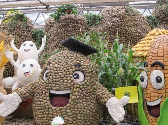 CaoMei BoLanYuan