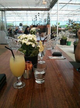 Cafe Botanix