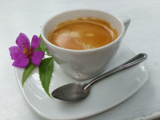 Eco Cafe
