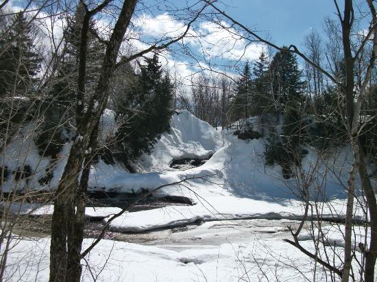 Parc Chauveau