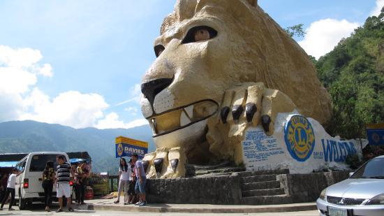 Lion Park