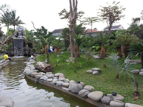 Peta Park