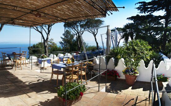 Cafe Casa Oliv