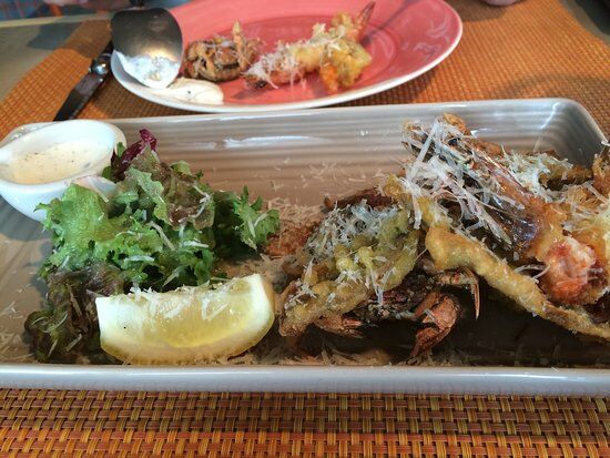 Beef & Fish