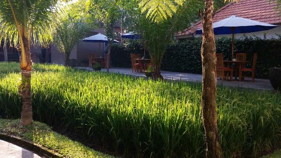Warung Gana